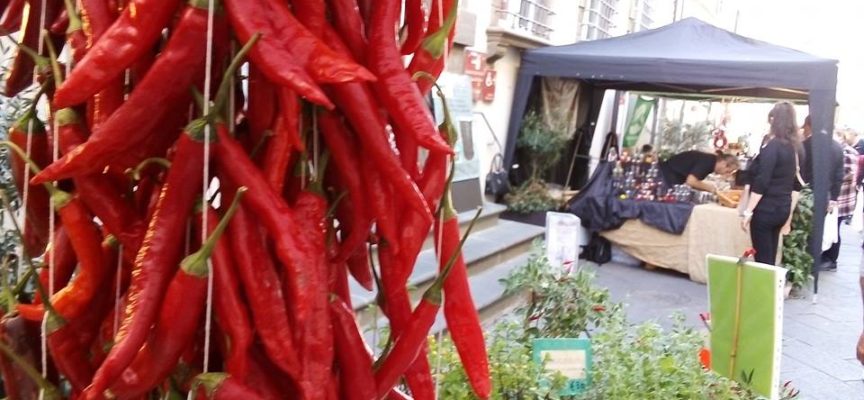 Le aziende CIA VERSILIA al sapore di peperoncino per la Festa PIC